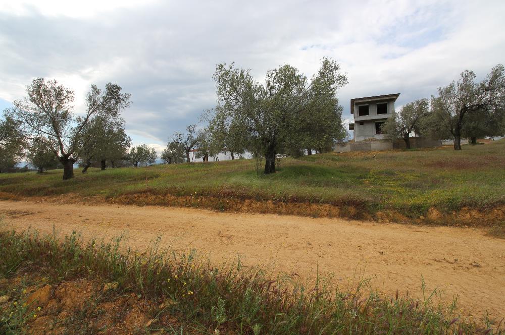 Burhaniye Pelitköy Mahallesinde 340m2 Villa İmarlı Arsa