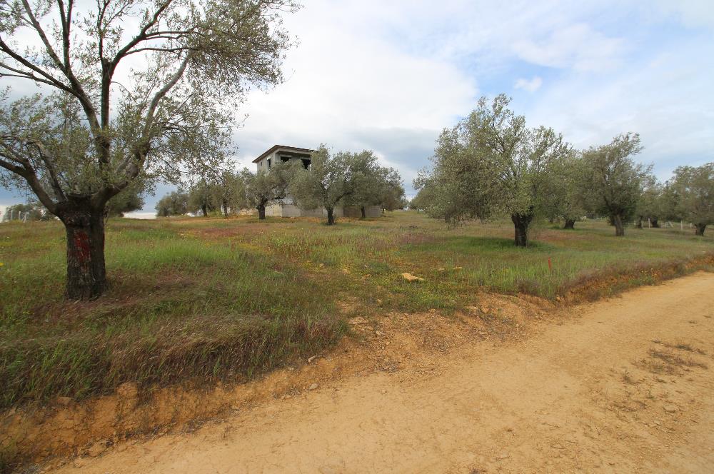 Burhaniye Pelitköy Mahallesinde 340m2 Villa İmarlı Arsa