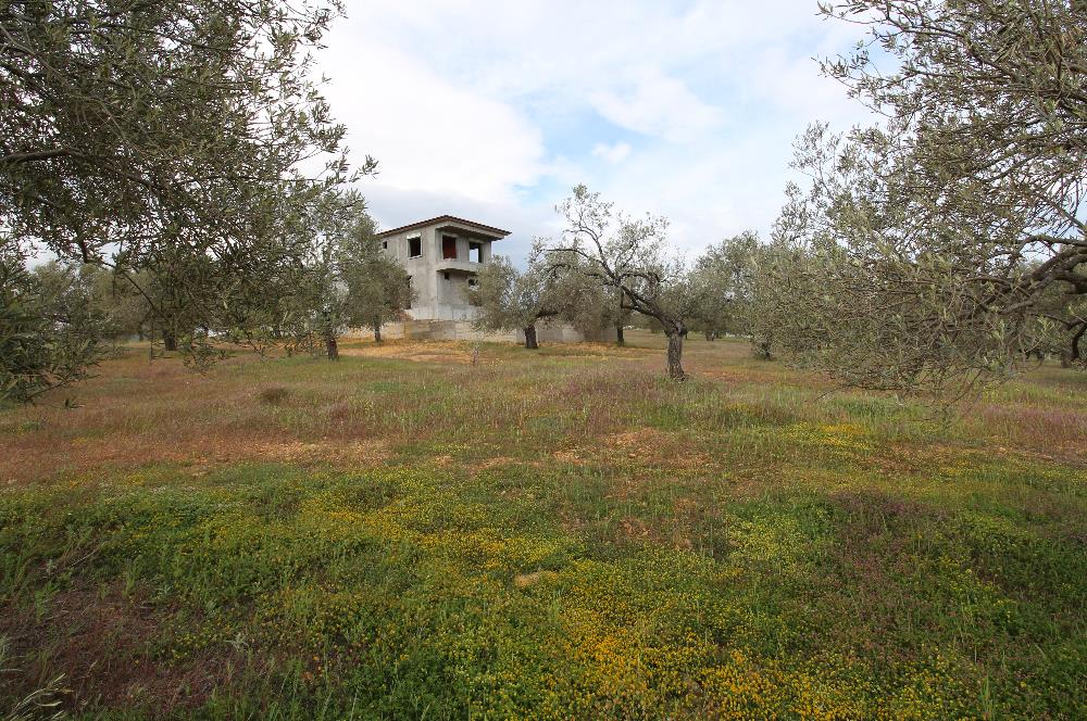 Burhaniye Pelitköy Mahallesinde 340m2 Villa İmarlı Arsa