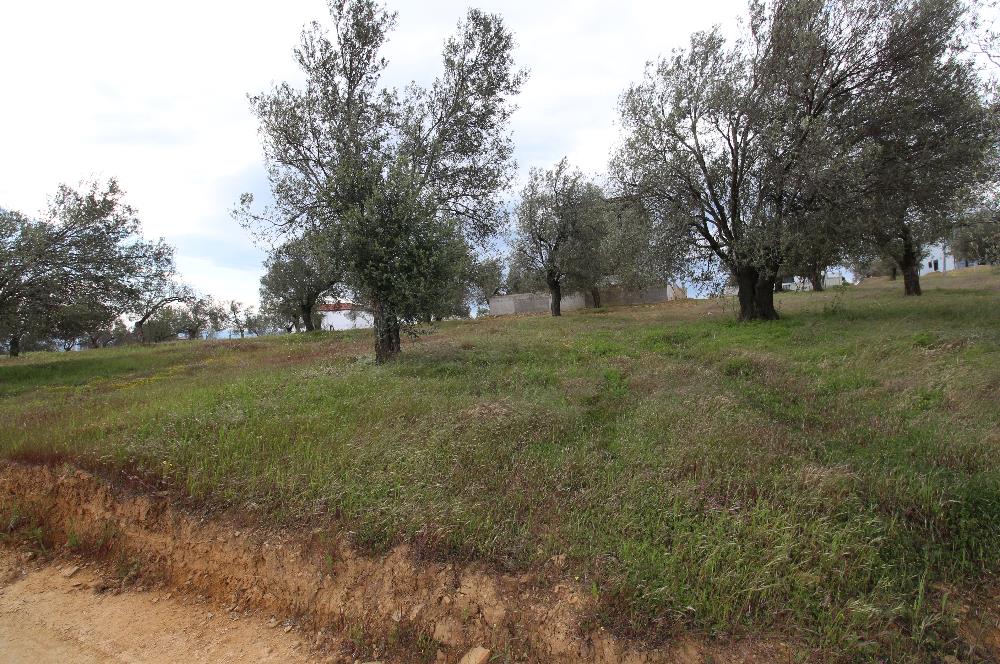 Burhaniye Pelitköy Mahallesinde 340m2 Villa İmarlı Arsa