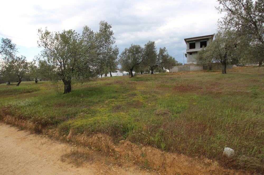 Burhaniye Pelitköy Mahallesinde 340m2 Villa İmarlı Arsa