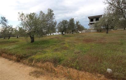 Burhaniye Pelitköy Mahallesinde 340m2 Villa İmarlı Arsa