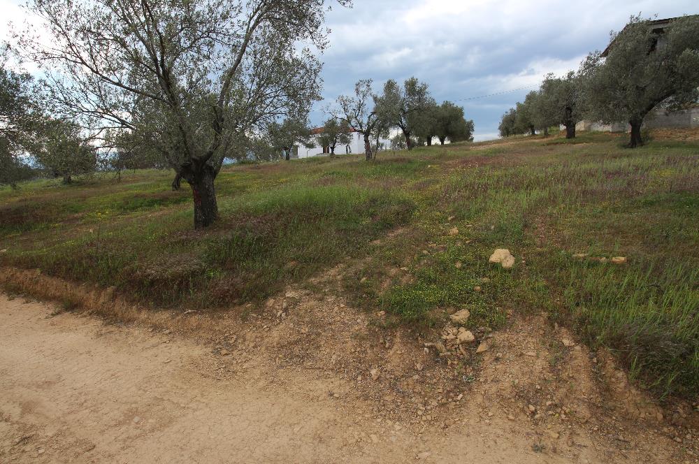 Burhaniye Pelitköy Mahallesinde 340m2 Villa İmarlı Arsa