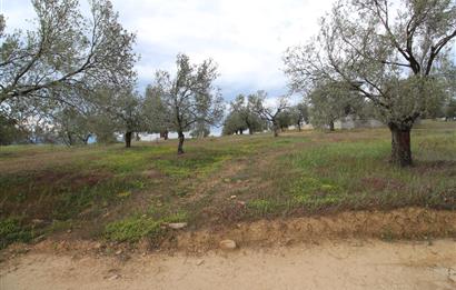Burhaniye Pelitköy Mahallesinde 340m2 Villa İmarlı Arsa