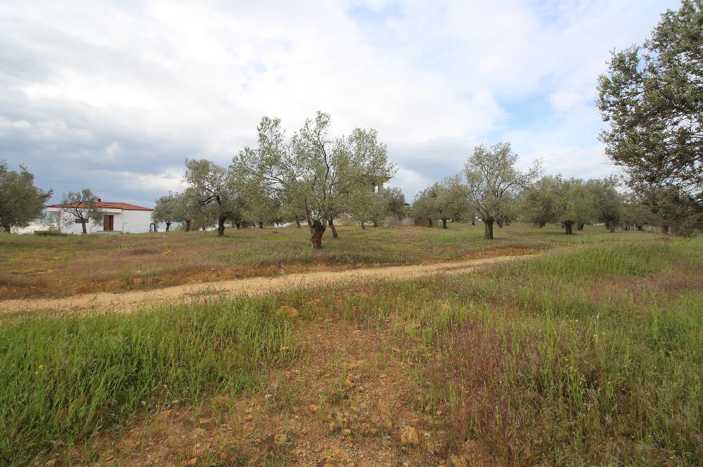 Burhaniye Pelitköy Mahallesinde 340m2 Villa İmarlı Arsa