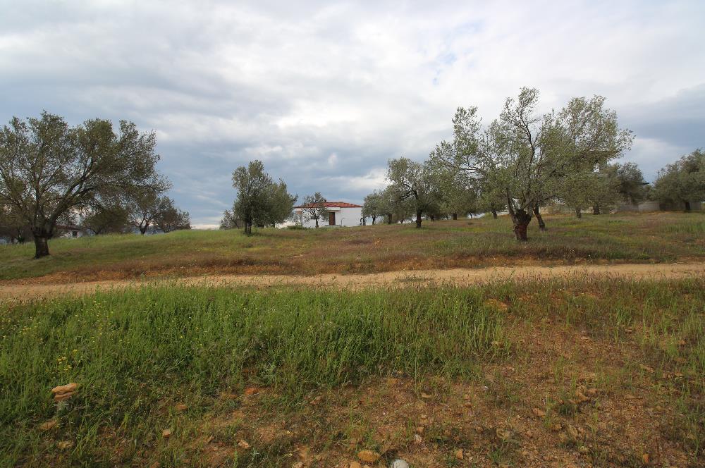 Burhaniye Pelitköy Mahallesinde 340m2 Villa İmarlı Arsa
