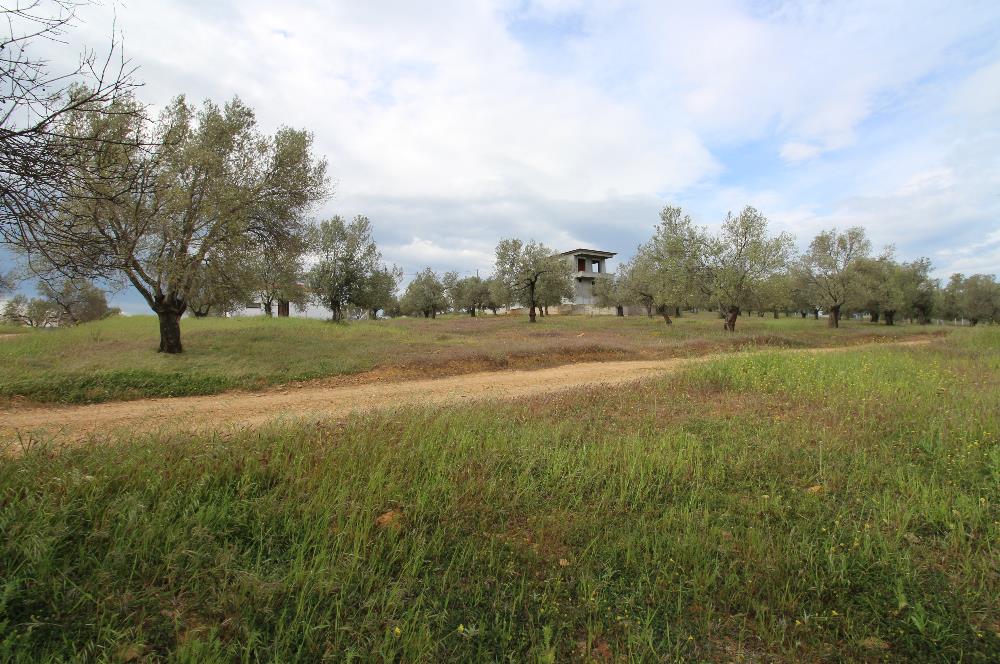 Burhaniye Pelitköy Mahallesinde 340m2 Villa İmarlı Arsa