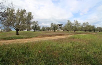 Burhaniye Pelitköy Mahallesinde 340m2 Villa İmarlı Arsa