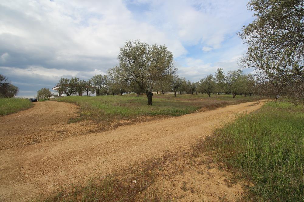 Burhaniye Pelitköy Mahallesinde 340m2 Villa İmarlı Arsa