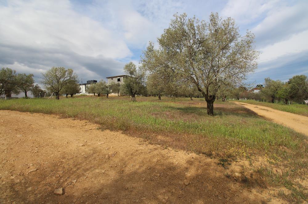 Burhaniye Pelitköy Mahallesinde 340m2 Villa İmarlı Arsa