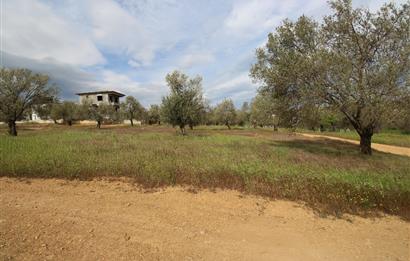 Burhaniye Pelitköy Mahallesinde 340m2 Villa İmarlı Arsa