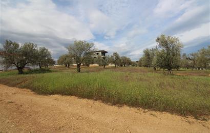Burhaniye Pelitköy Mahallesinde 340m2 Villa İmarlı Arsa