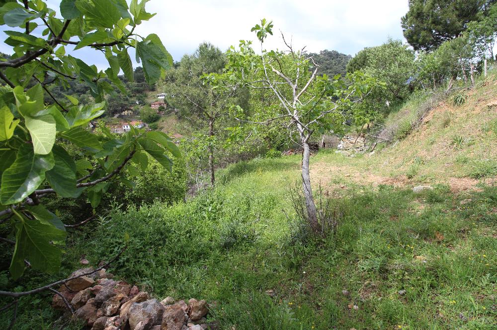 BURHANİYE SÜBEYLİDERE KÖYÜNDE 204 M2 İKİ KAT İMARLI KONUT ARSASI