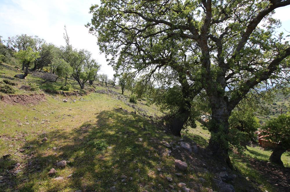 BURHANİYE KUYUCAK MAHALLESİ FULL DENİZ MANZARALI MUHTEŞEM KONUMDA ARSA