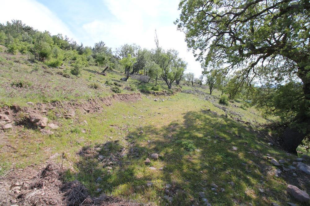 BURHANİYE KUYUCAK MAHALLESİ FULL DENİZ MANZARALI MUHTEŞEM KONUMDA ARSA