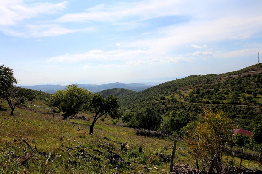 Burhaniye Kuyucak Köyünde Deniz Manzaralı Konut İmarlı Arsa