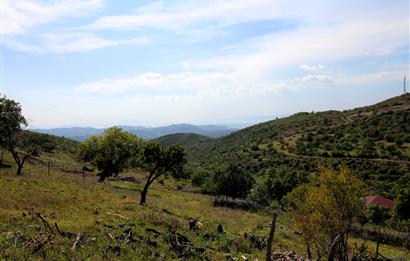 Burhaniye Kuyucak Köyünde Deniz Manzaralı Konut İmarlı Arsa