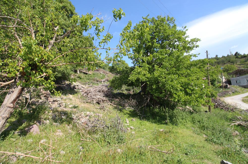 Burhaniye Kuyucak Köyünde Deniz Manzaralı Konut İmarlı Arsa
