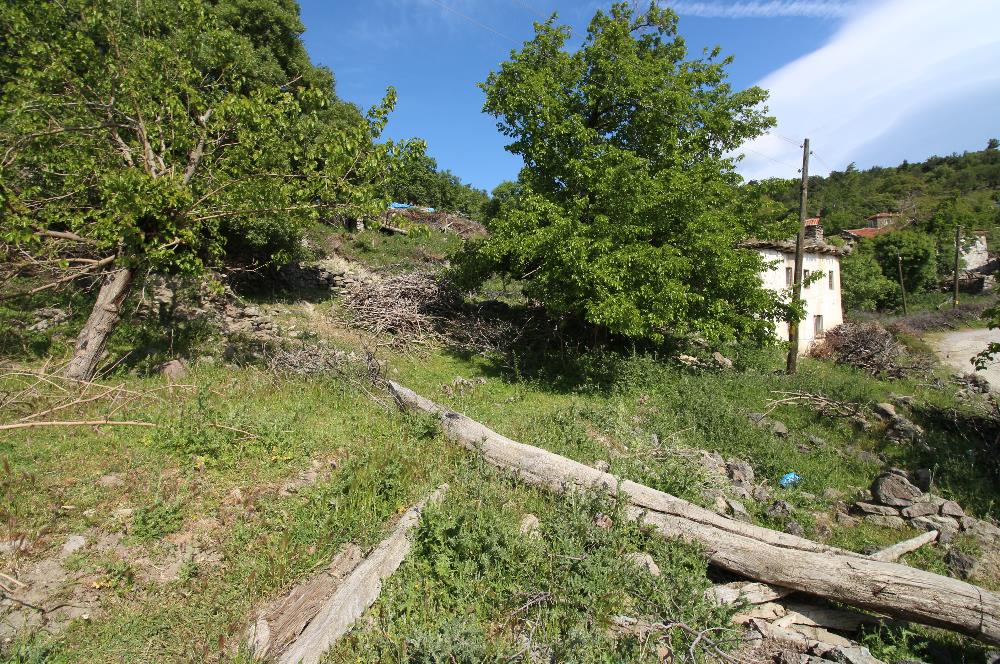 Burhaniye Kuyucak Köyünde Deniz Manzaralı Konut İmarlı Arsa