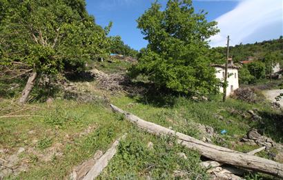 Burhaniye Kuyucak Köyünde Deniz Manzaralı Konut İmarlı Arsa