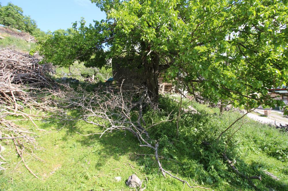 Burhaniye Kuyucak Köyünde Deniz Manzaralı Konut İmarlı Arsa