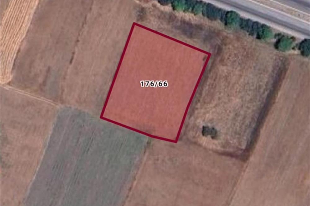 CENTURY21 BAL'DAN KESİRVEN DE SATILIK TARLA