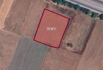 CENTURY21 BAL'DAN KESİRVEN DE SATILIK TARLA