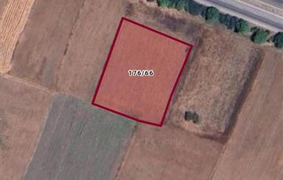CENTURY21 BAL'DAN KESİRVEN DE SATILIK TARLA
