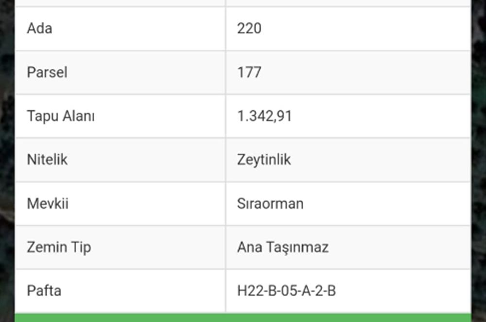 ORHANGAZİ KERAMET KÖYÜ'NDE 1342 m² ZEYTİNLİK