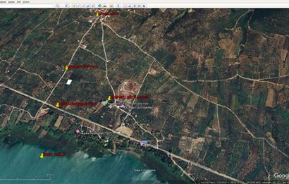 ORHANGAZİ KERAMET KÖYÜ'NDE 1342 m² ZEYTİNLİK
