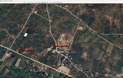 ORHANGAZİ KERAMET KÖYÜ'NDE 1342 m² ZEYTİNLİK