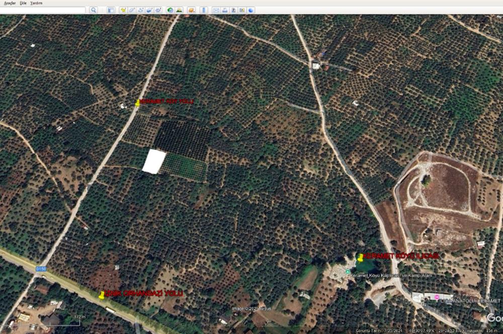 ORHANGAZİ KERAMET KÖYÜ'NDE 1342 m² ZEYTİNLİK