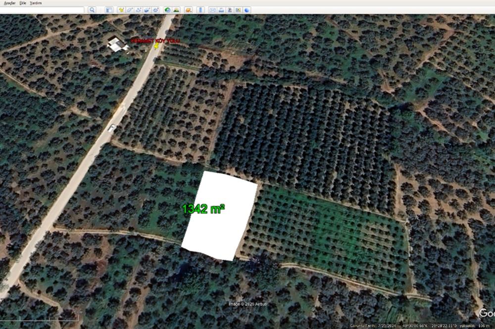 ORHANGAZİ KERAMET KÖYÜ'NDE 1342 m² ZEYTİNLİK