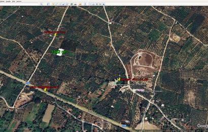 ORHANGAZİ KERAMET KÖYÜ'NDE 1342 m² ZEYTİNLİK