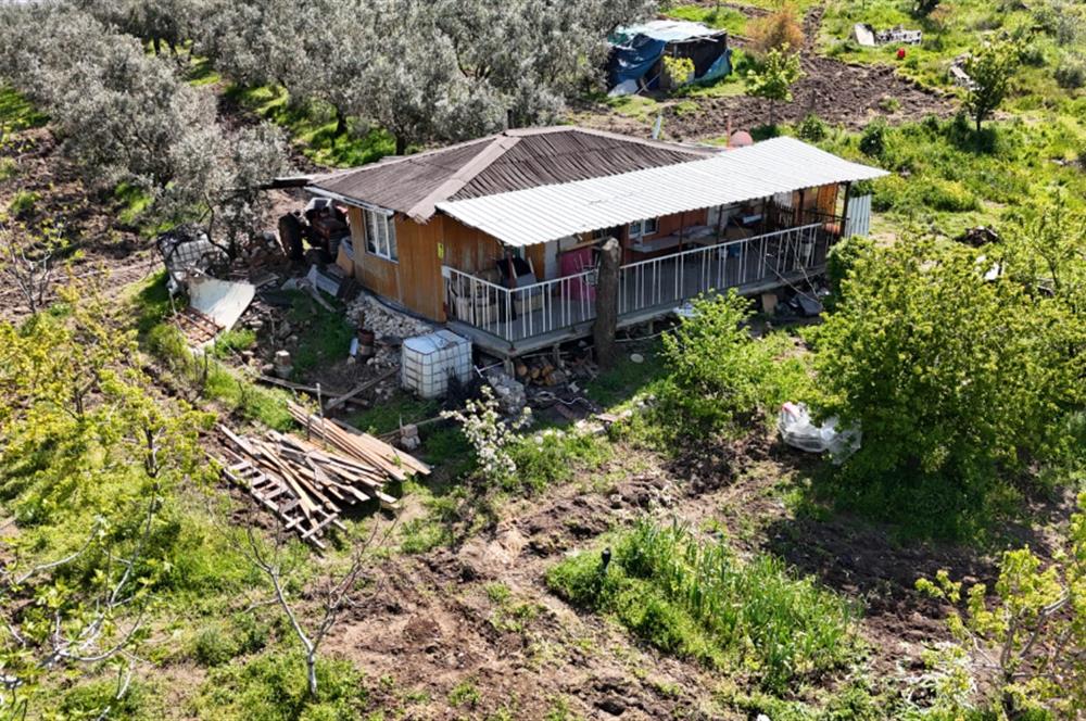 C21 NOVO DAN İPEKYAYLADA SATILIK ARAZİ