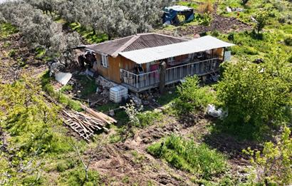 C21 NOVO DAN İPEKYAYLADA SATILIK ARAZİ
