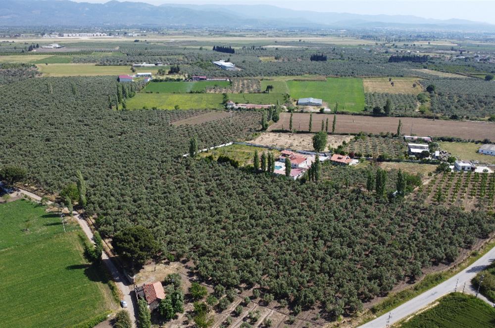 EDREMİT ÇIKRIKÇI MAH 74.000M2 MUHTEŞEM KONUMDA ZEYTİNİLİK