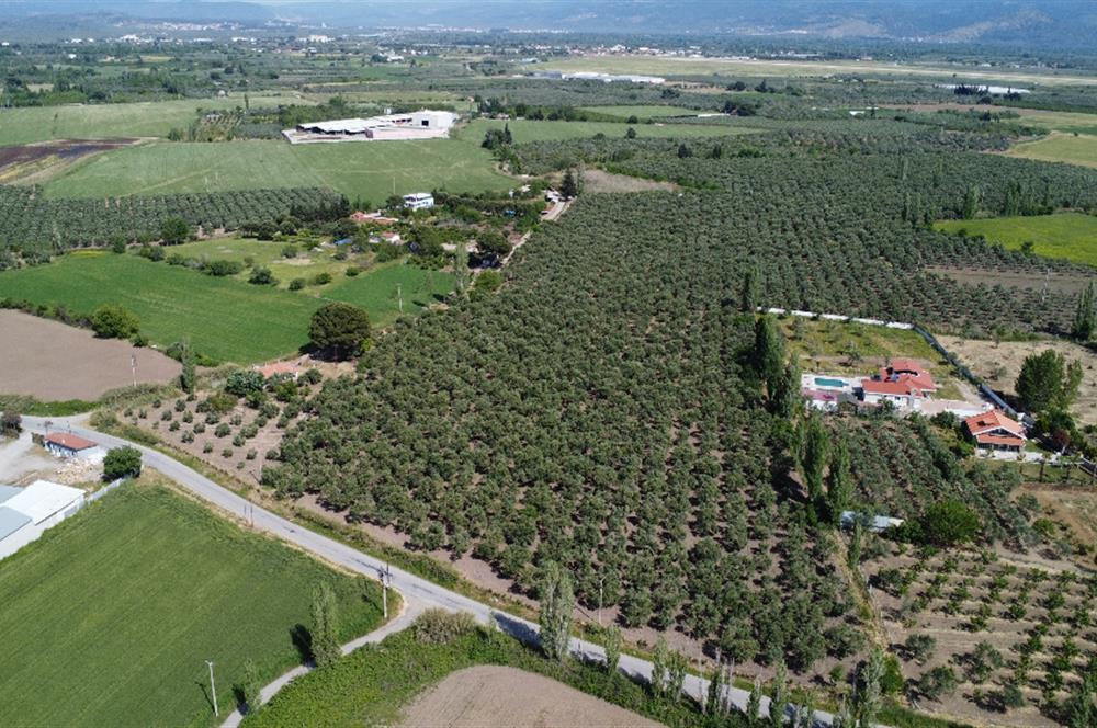 EDREMİT ÇIKRIKÇI MAH 74.000M2 MUHTEŞEM KONUMDA ZEYTİNİLİK