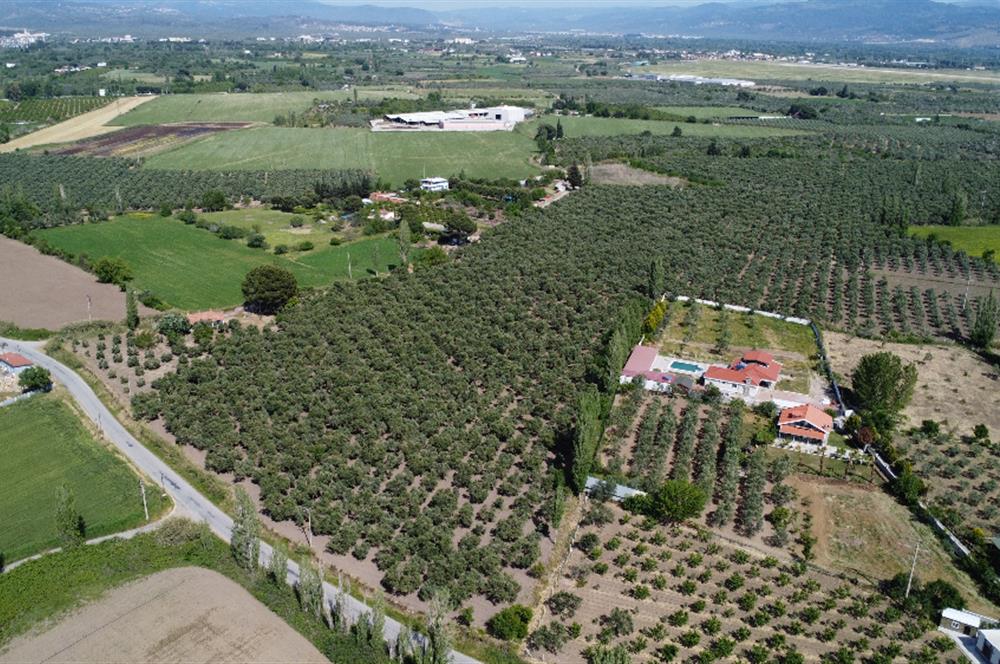EDREMİT ÇIKRIKÇI MAH 74.000M2 MUHTEŞEM KONUMDA ZEYTİNİLİK