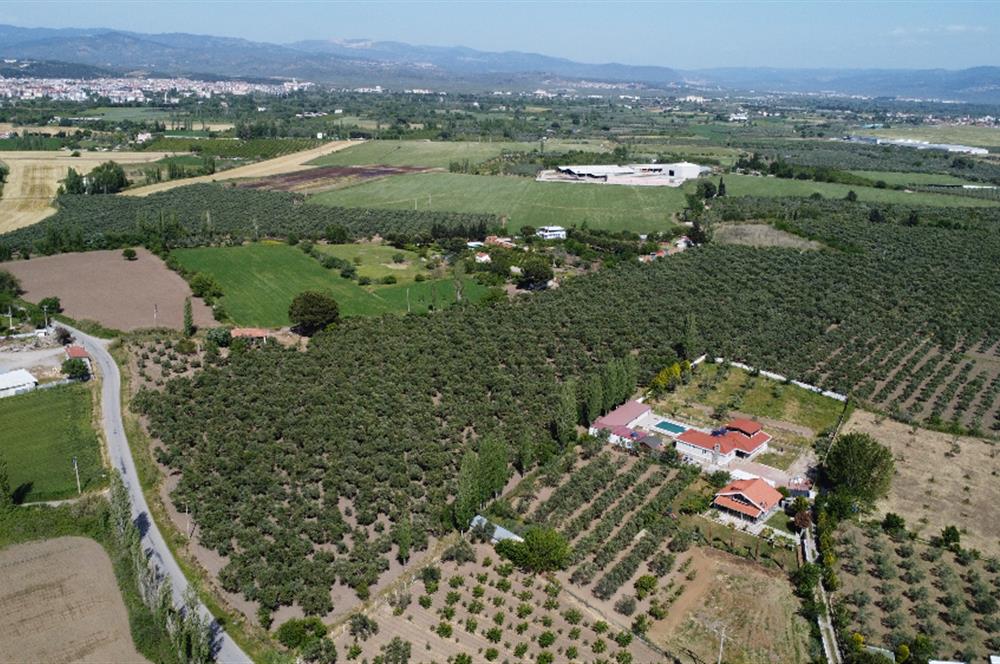 EDREMİT ÇIKRIKÇI MAH 74.000M2 MUHTEŞEM KONUMDA ZEYTİNİLİK