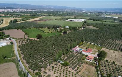 EDREMİT ÇIKRIKÇI MAH 74.000M2 MUHTEŞEM KONUMDA ZEYTİNİLİK