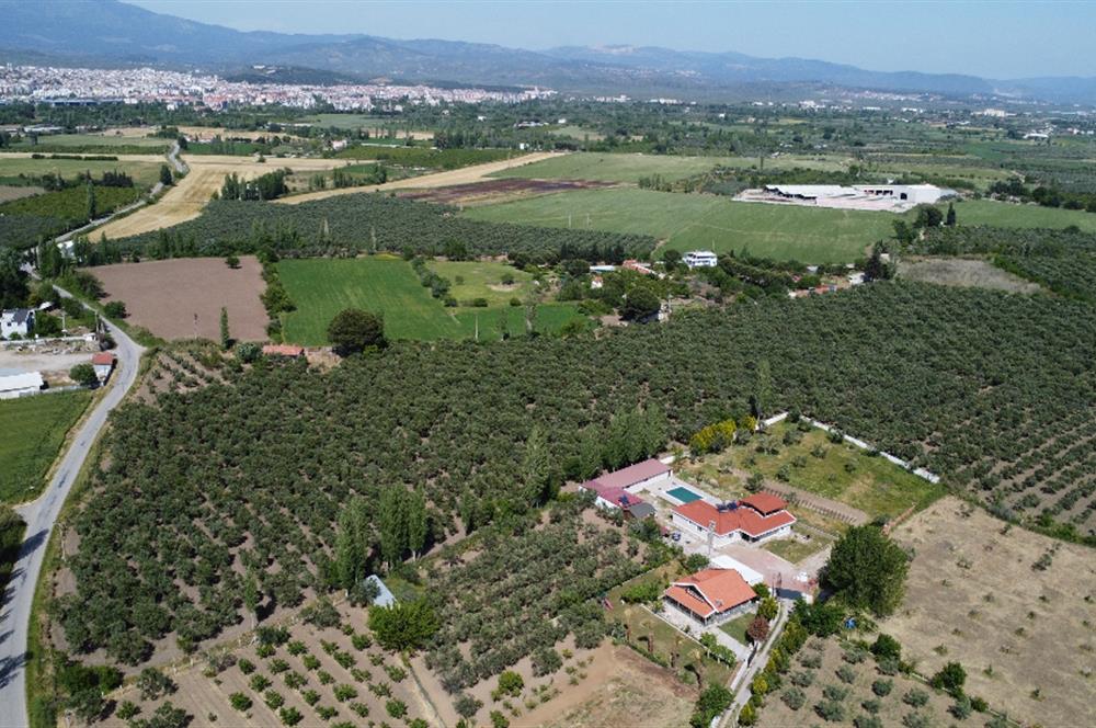 EDREMİT ÇIKRIKÇI MAH 74.000M2 MUHTEŞEM KONUMDA ZEYTİNİLİK