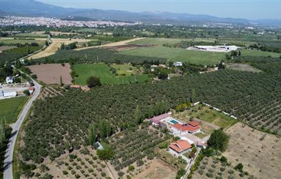 EDREMİT ÇIKRIKÇI MAH 74.000M2 MUHTEŞEM KONUMDA ZEYTİNİLİK