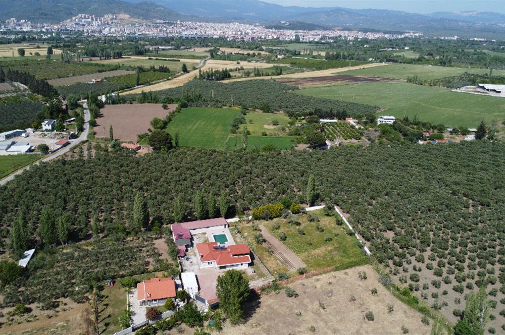 EDREMİT ÇIKRIKÇI MAH 74.000M2 MUHTEŞEM KONUMDA ZEYTİNİLİK