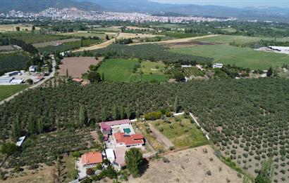 EDREMİT ÇIKRIKÇI MAH 74.000M2 MUHTEŞEM KONUMDA ZEYTİNİLİK