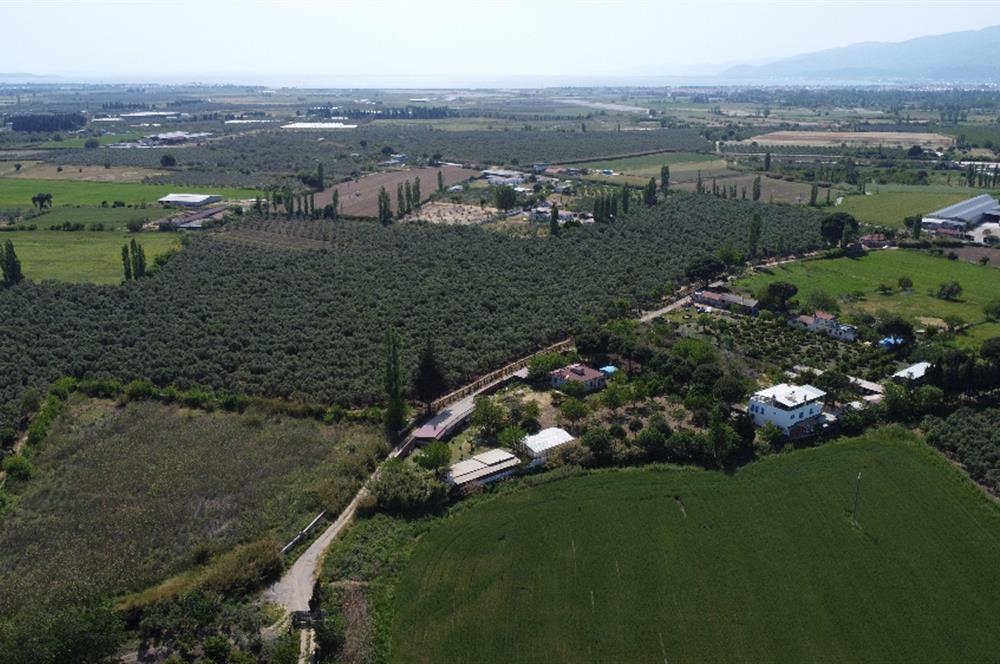 EDREMİT ÇIKRIKÇI MAH 74.000M2 MUHTEŞEM KONUMDA ZEYTİNİLİK