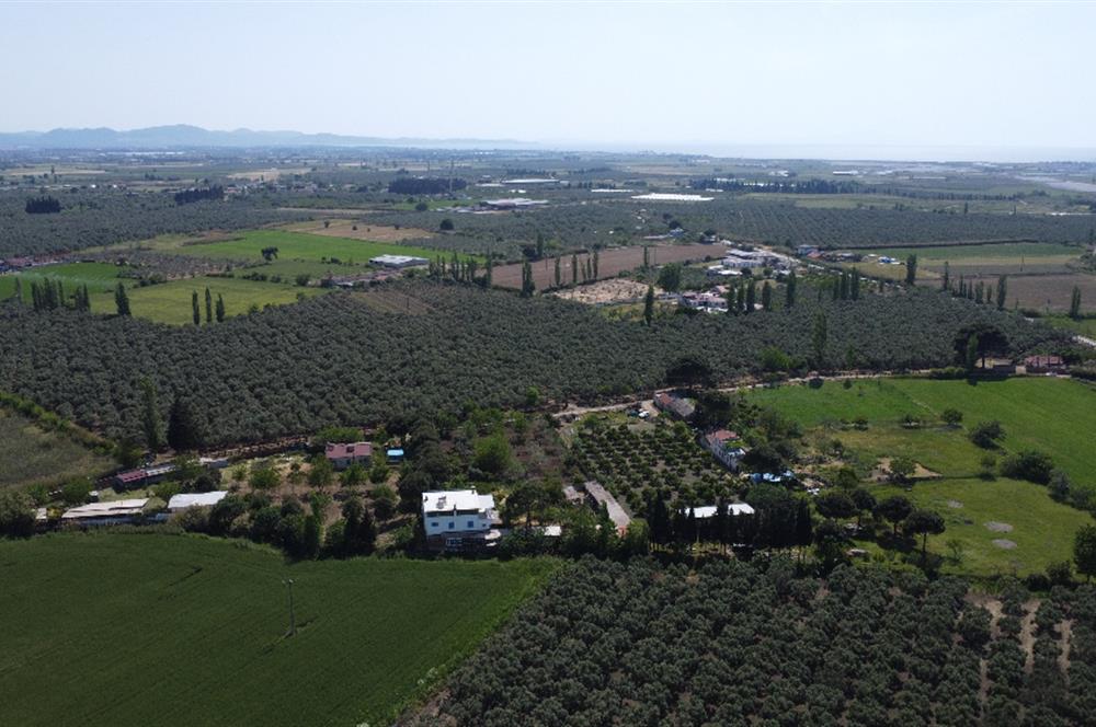 EDREMİT ÇIKRIKÇI MAH 74.000M2 MUHTEŞEM KONUMDA ZEYTİNİLİK