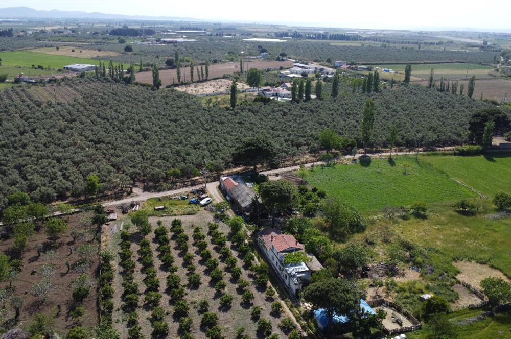 EDREMİT ÇIKRIKÇI MAH 74.000M2 MUHTEŞEM KONUMDA ZEYTİNİLİK