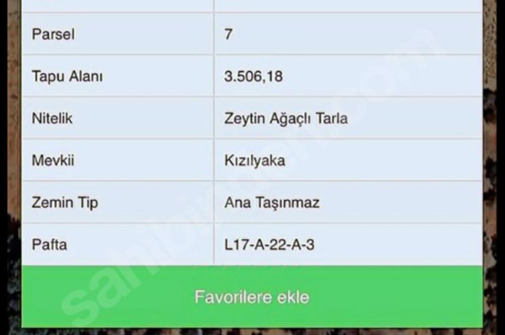 Urla Zeytinler Köyü Yatırımlık 3506 m2 Satılık Tarla