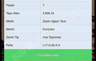 Urla Zeytinler Köyü Yatırımlık 3506 m2 Satılık Tarla